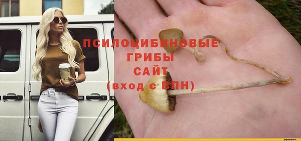 мет Ельня