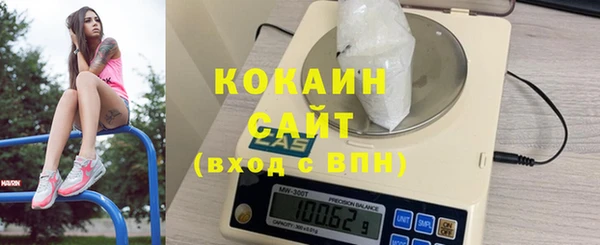 сатива Дмитриев