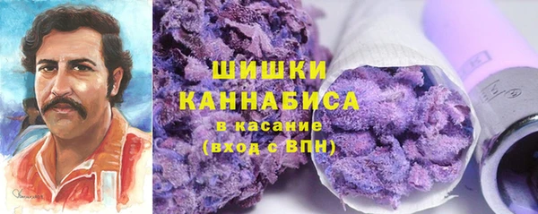 мет Ельня