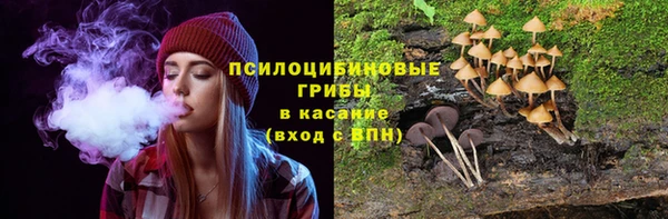 синтетический гашиш Дмитровск