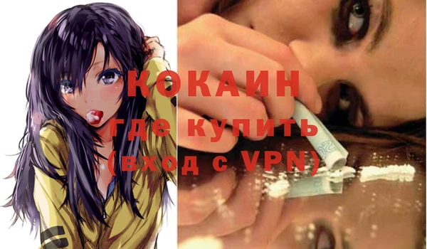 мет Ельня