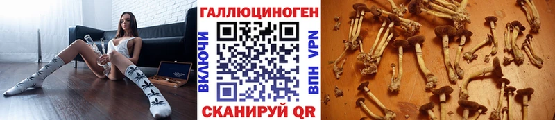 Псилоцибиновые грибы прущие грибы  Альметьевск 